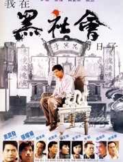 我在黑社会的日子